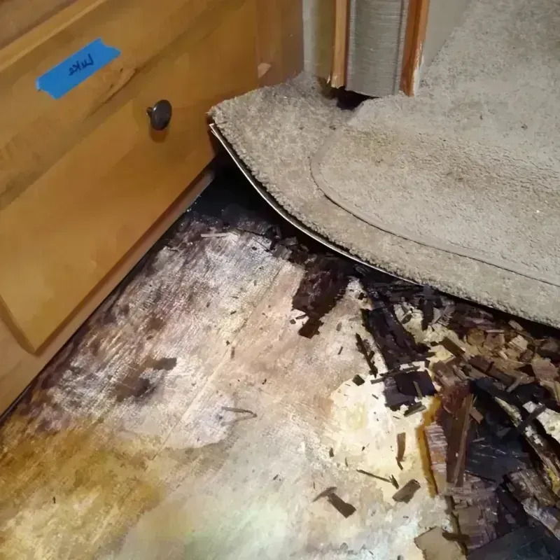 Wood Floor Water Damage in Grand Rapids, MI